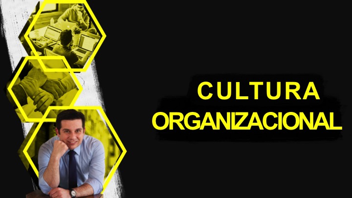 A importância da Cultura Organizacional nas empresas